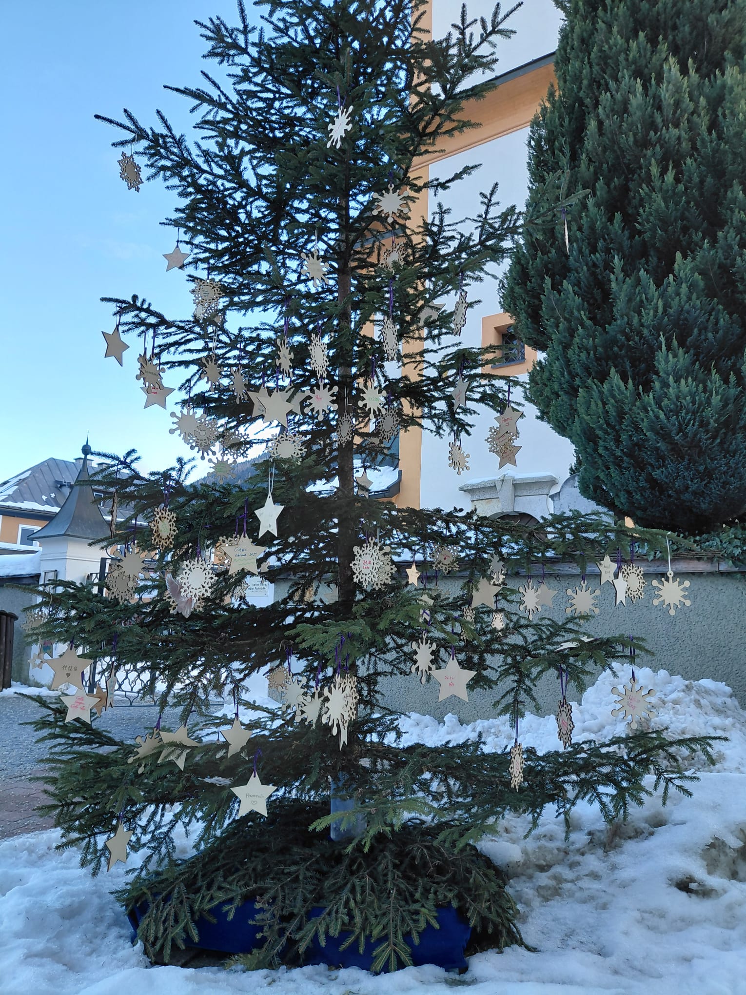 Baum der Erinnerung Mittersill 2025